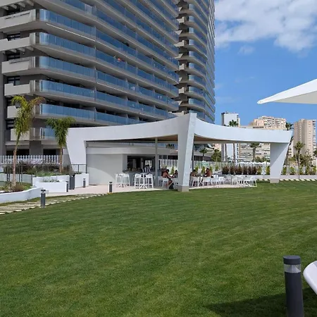 Sunset Sailors Sun &